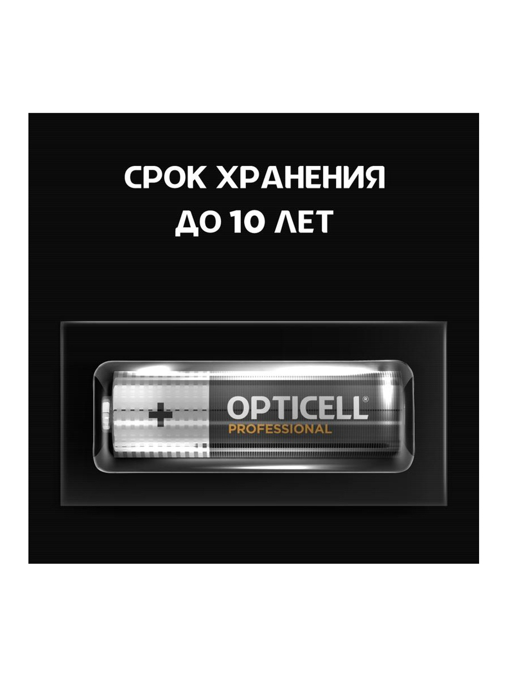 Элемент питания алкалиновый AA/LR6 (блист. 12шт) Professional Opticell 5052005/6052005