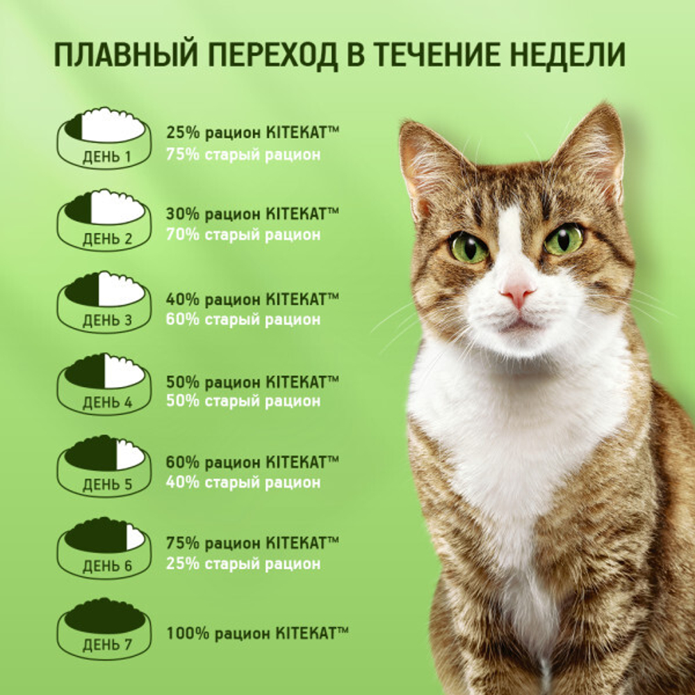 Говядина в соусе, 85г влажный корм для кошек KiteKat