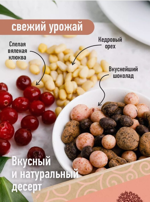 Ядро кедрового ореха и клюква вяленая в шоколаде / ассорти / 60 г / дой-пак / ТМ Сибирский кедр