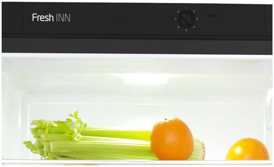 Холодильник Snaige RF RF53SM-S5JJ210 (D91Z1C5SNBX)