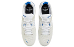 Кроссовки Nike Sb Ishod "Summit White"