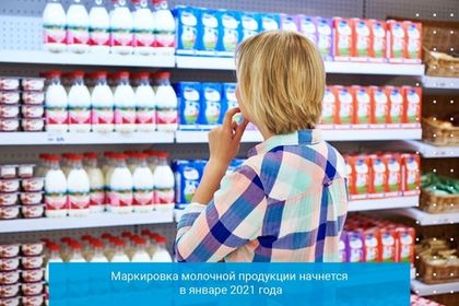 Маркировка молочной продукции начнется в январе 2021 года