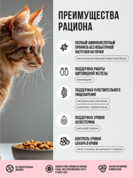 Сухой корм для взрослых кошек с индейкой, курицей и яблоком BOWL WOW 4кг