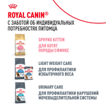 Royal Canin Sphynx Adult Сфинкс Эдалт Корм сухой сбалансированный для взрослых кошек породы Сфинкс от 12 месяцев 2кг