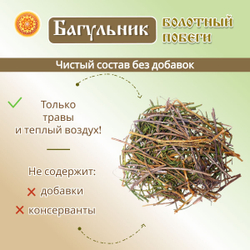 Багульник болотный побеги.
