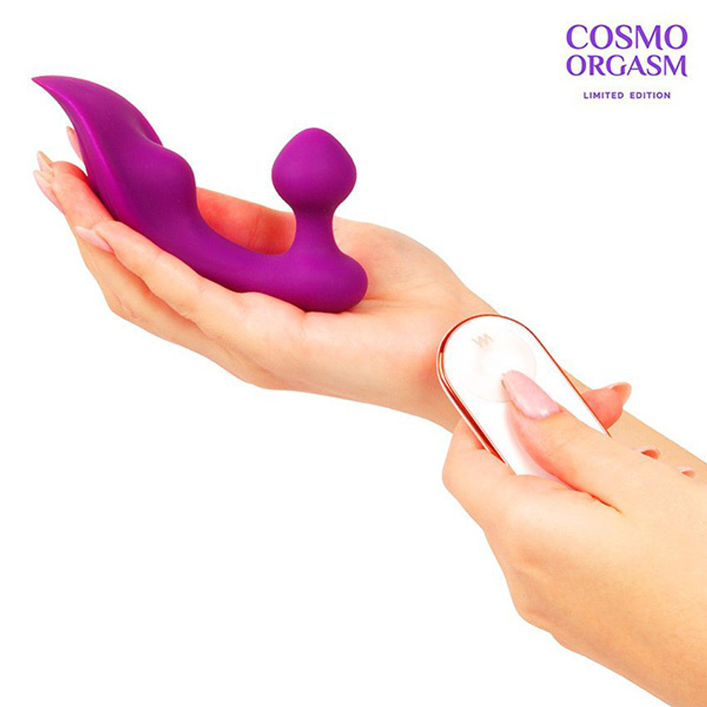 Фиолетовый массажёр с 9 режимами вибрации и пультом ДУ Bior Toys Cosmo Orgasm CSM-23176