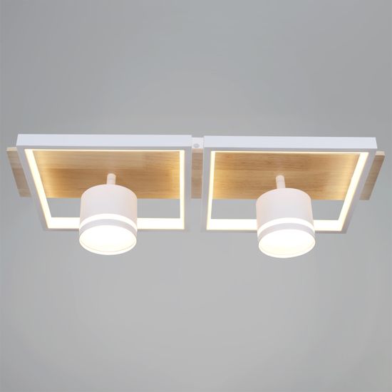 19560-0.3-2+2 WH+WOOD светильник потолочный