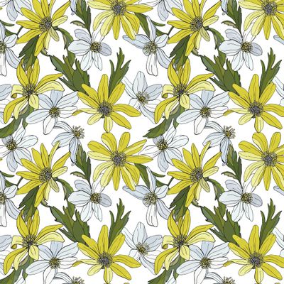 Цветы анемоны. Яркие первоцветы, подснежники, лютики, хризантемы.