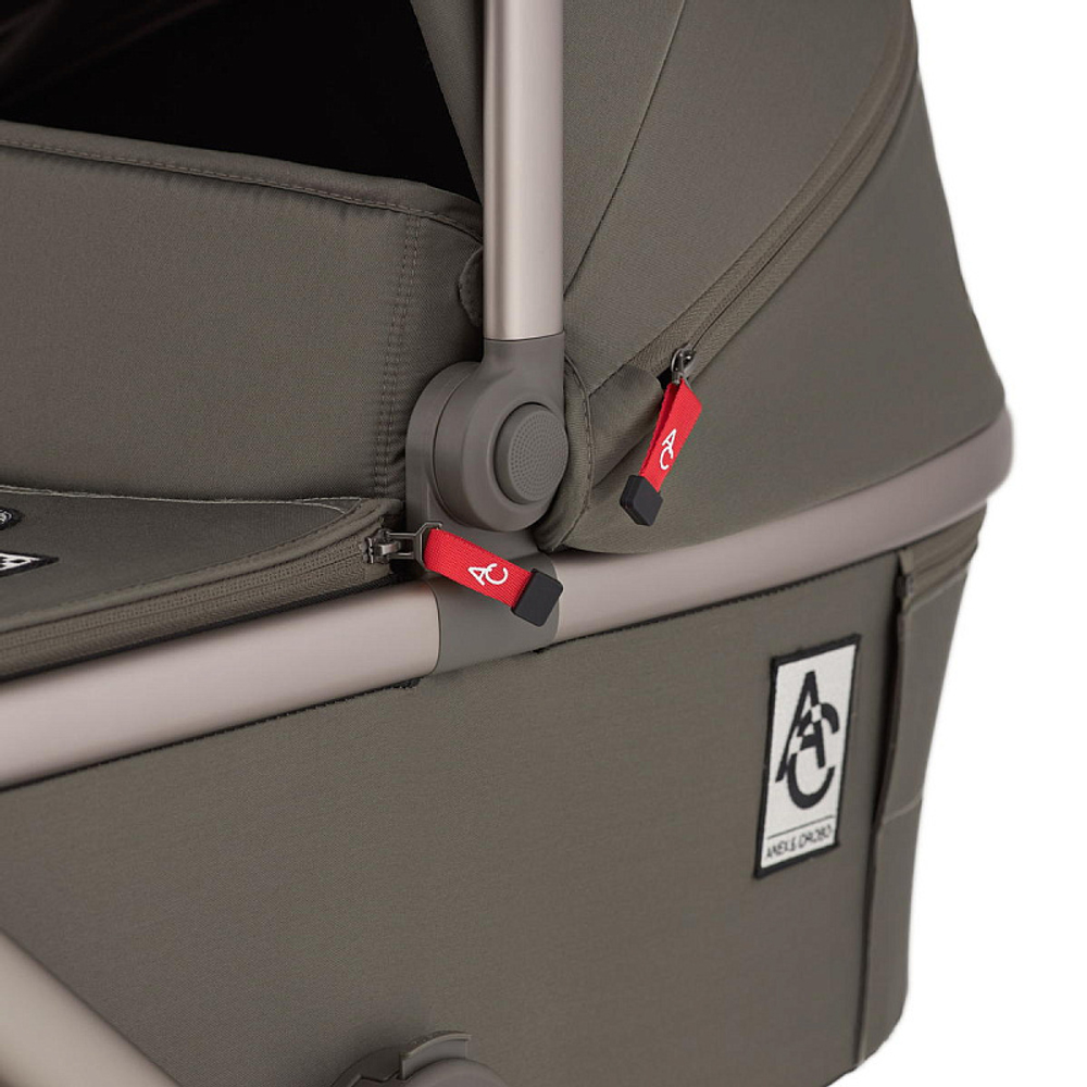 Детская коляска Anex Flo 2 в 1 Cesar