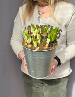 Hot garden offer #06p