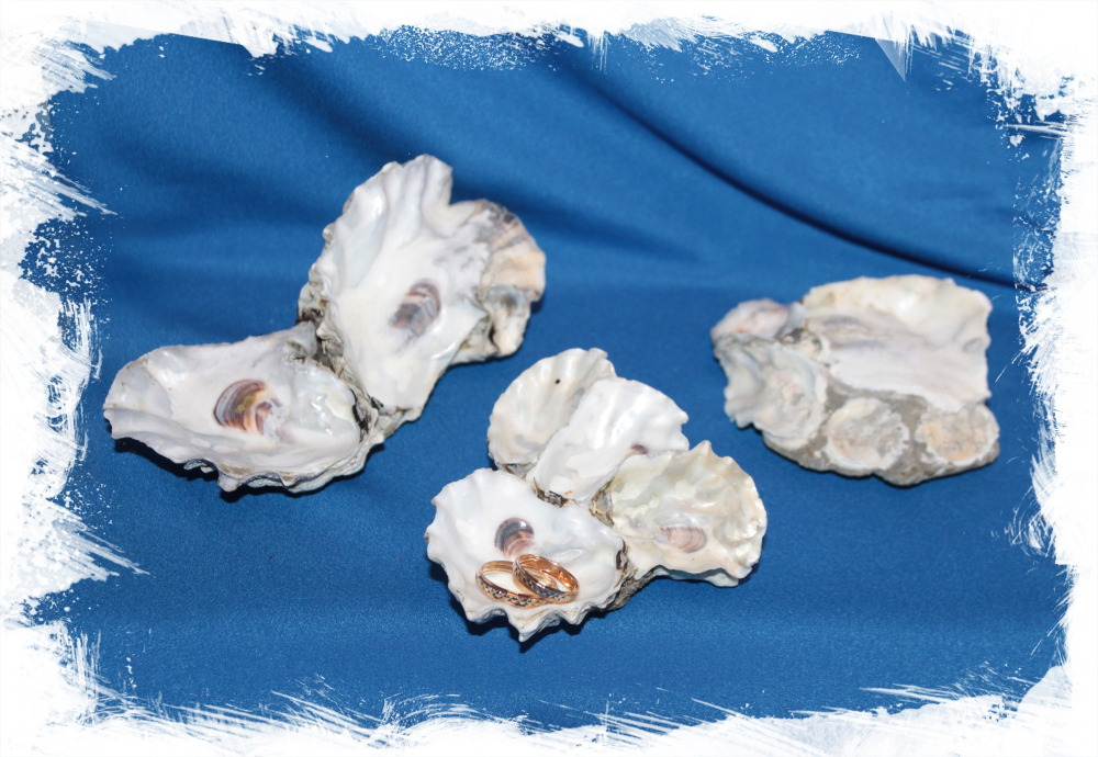 Устричная друза