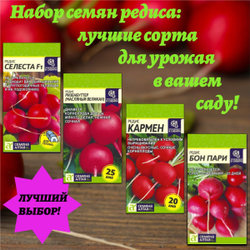 Набор семян редиса: лучшие сорта для урожая в вашем саду