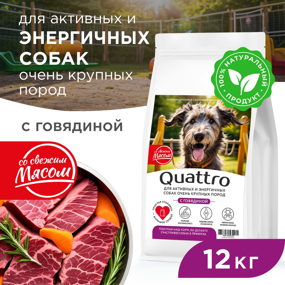Корм сухой для взрослых собак очень крупных пород, премиум полнорационный комплекс, для активных и энергичных собак, с говядиной, 12 кг, QUATTRO
