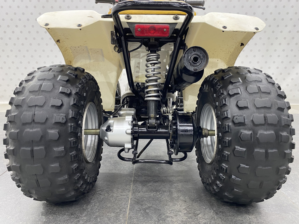 Yamaha YF100M , 2000