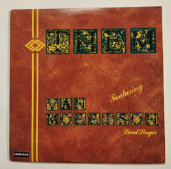 Винтажная виниловая пластинка LP Them Featuring Van Morrison Lead Singer (UK 1973)