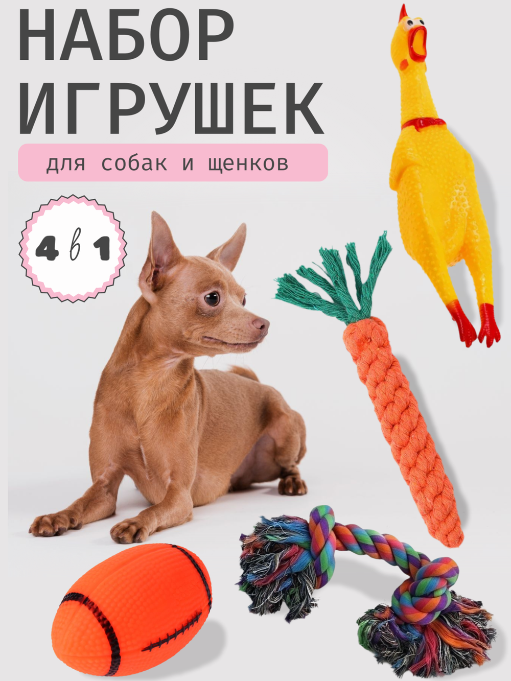 Набор игрушек Shenzhen N-Deer Fashion для собак, SP85, 4 шт.