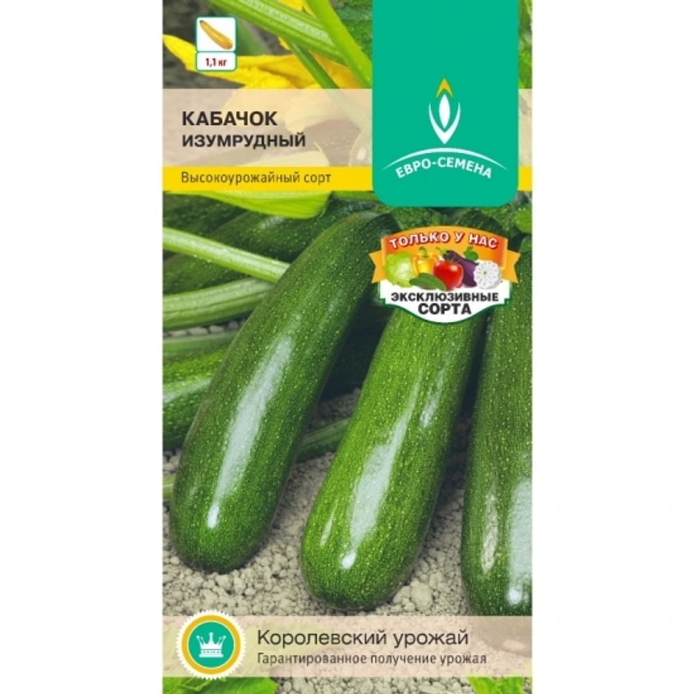 кабачок Изумрудный