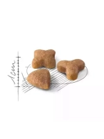  Royal Canin Renal RF 23 Feline (Роял Канин Ренал 23) сухой корм для кошек 2 кг