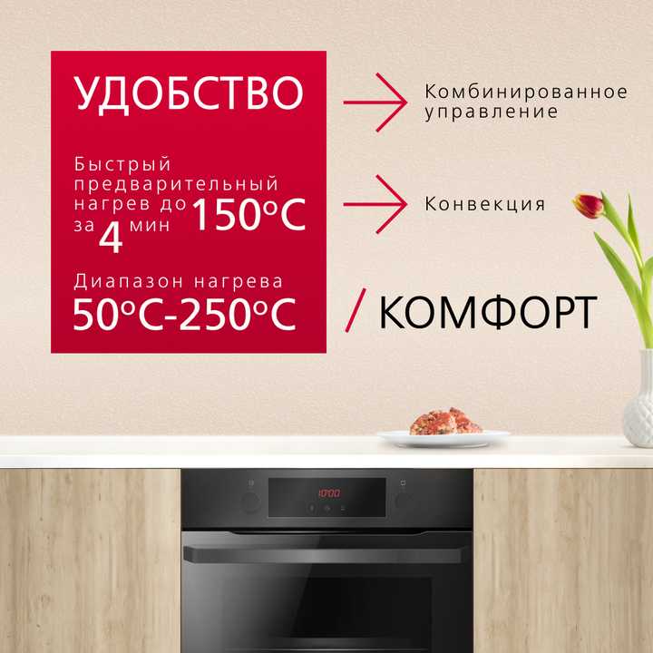 Духовой шкаф Hansa BOES68454