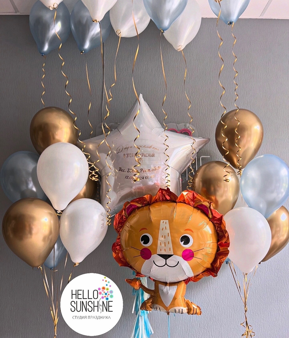 Набор шаров на выписку №9