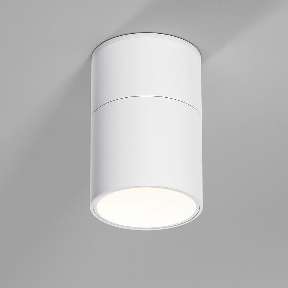 Накладной светильник Elektrostandard Rolly a067487