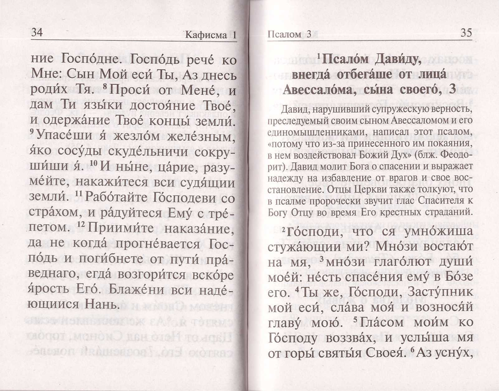 Псалтирь полная (с толкованием)