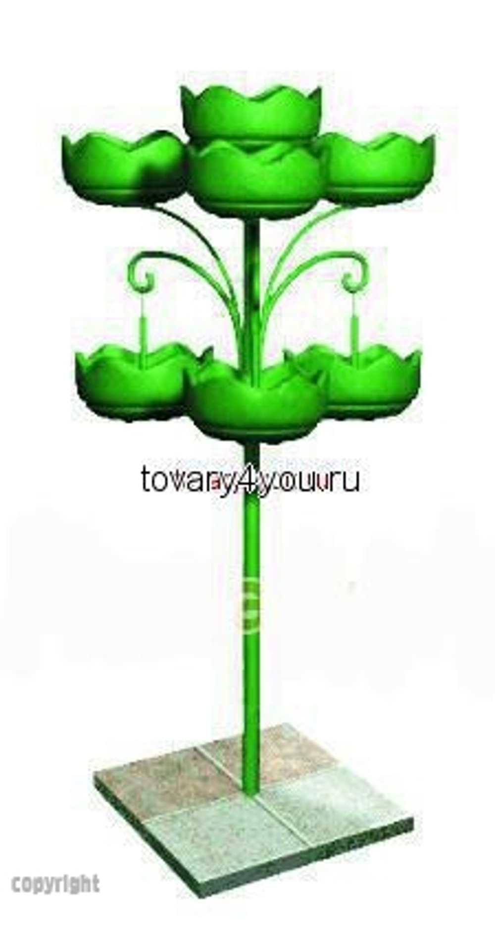 Цветочница Улитка двойная парковая-4