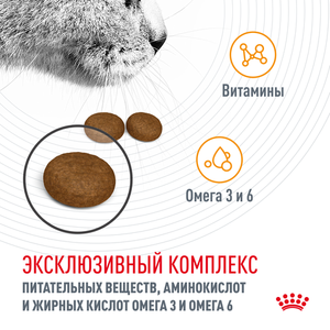 Корм для кошек, Royal Canin Hair & Skin Care, здоровье шерсти и кожи, в возрасте от 1 года и старше