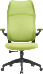 Кресло  Cactus CS-MC505-GN