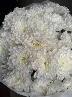 Букет цветов Облако S