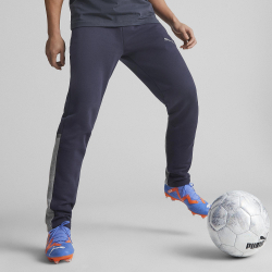 Мужские брюки PUMA teamCUP Casuals Pants