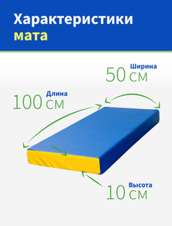 Мат спортивный гимнастический 100*50*10 см