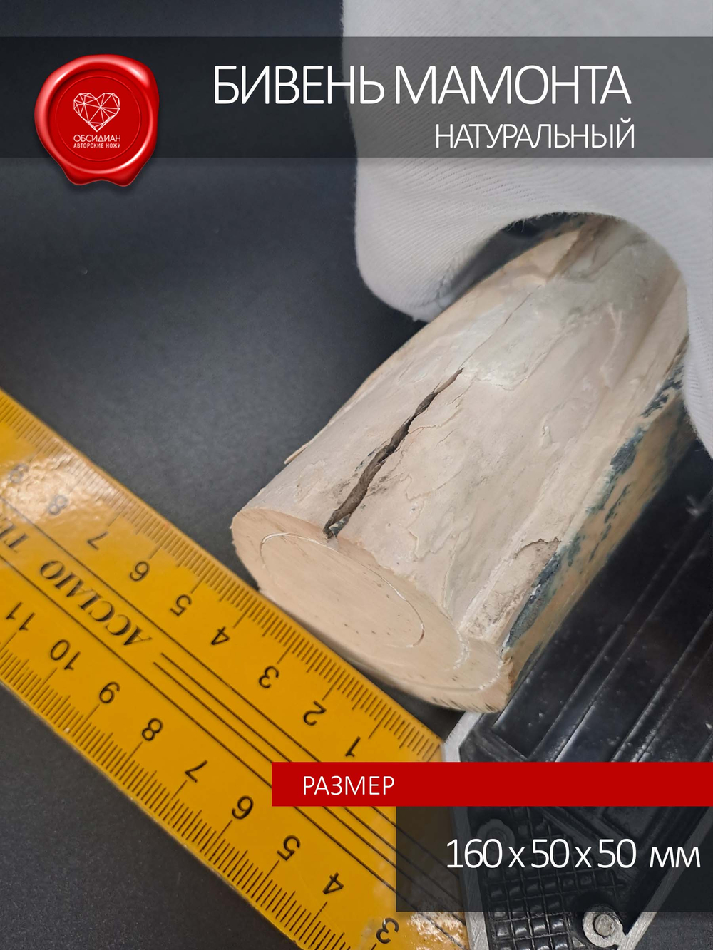 Острие бивня мамонта для коллекции