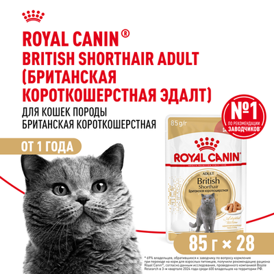 Royal Canin British Shorthair Adult (БРИТАНСКАЯ КОРОТКОШЕРСТНАЯ ЭДАЛТ) Корм консервированный для взрослых кошек соус 85г