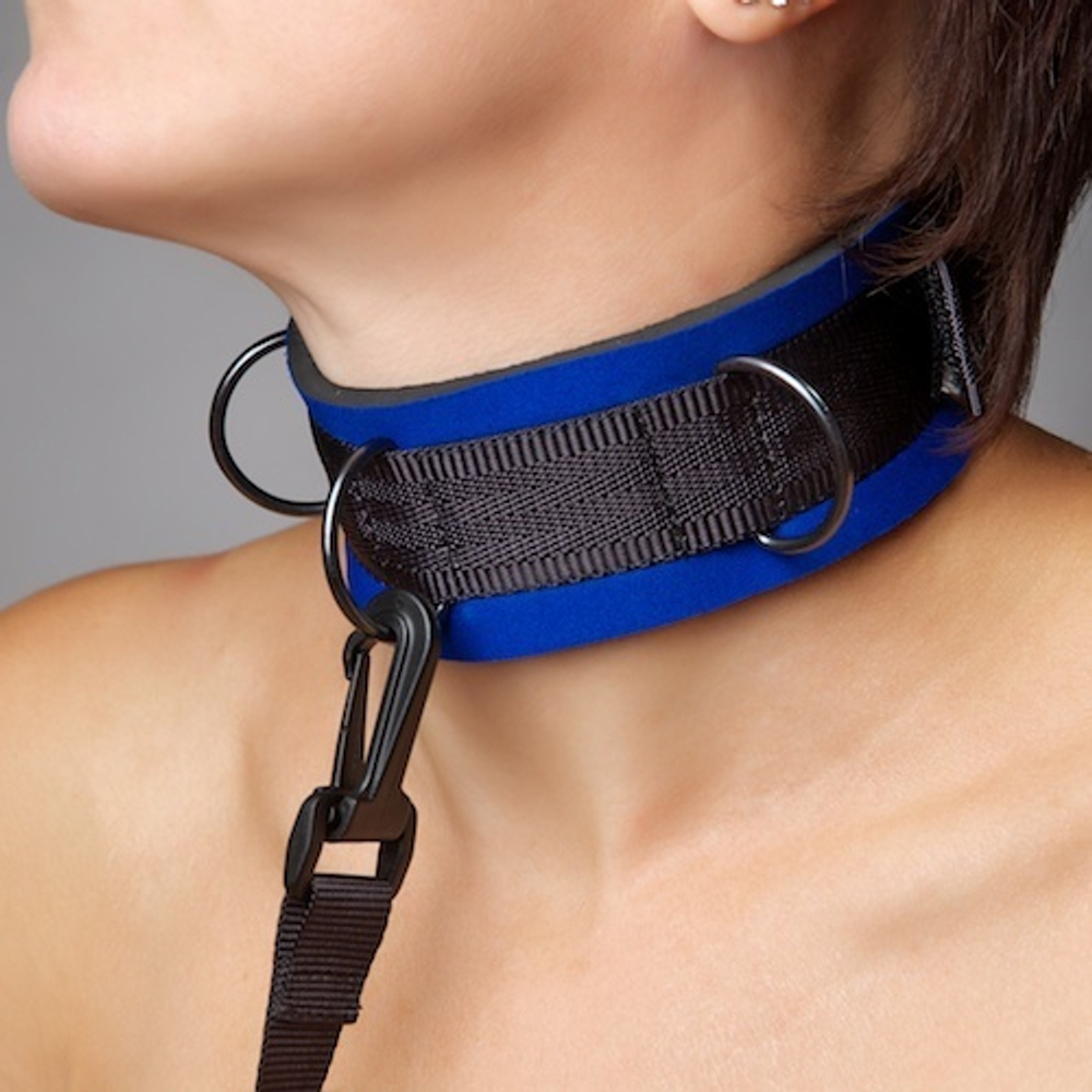 Чёрно-синий неопреновый ошейник (Цвет: синий с черным)