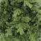 Искусственная сосна Изумрудная 305 см., Литая хвоя+ПВХ, Triumph Tree (73481)