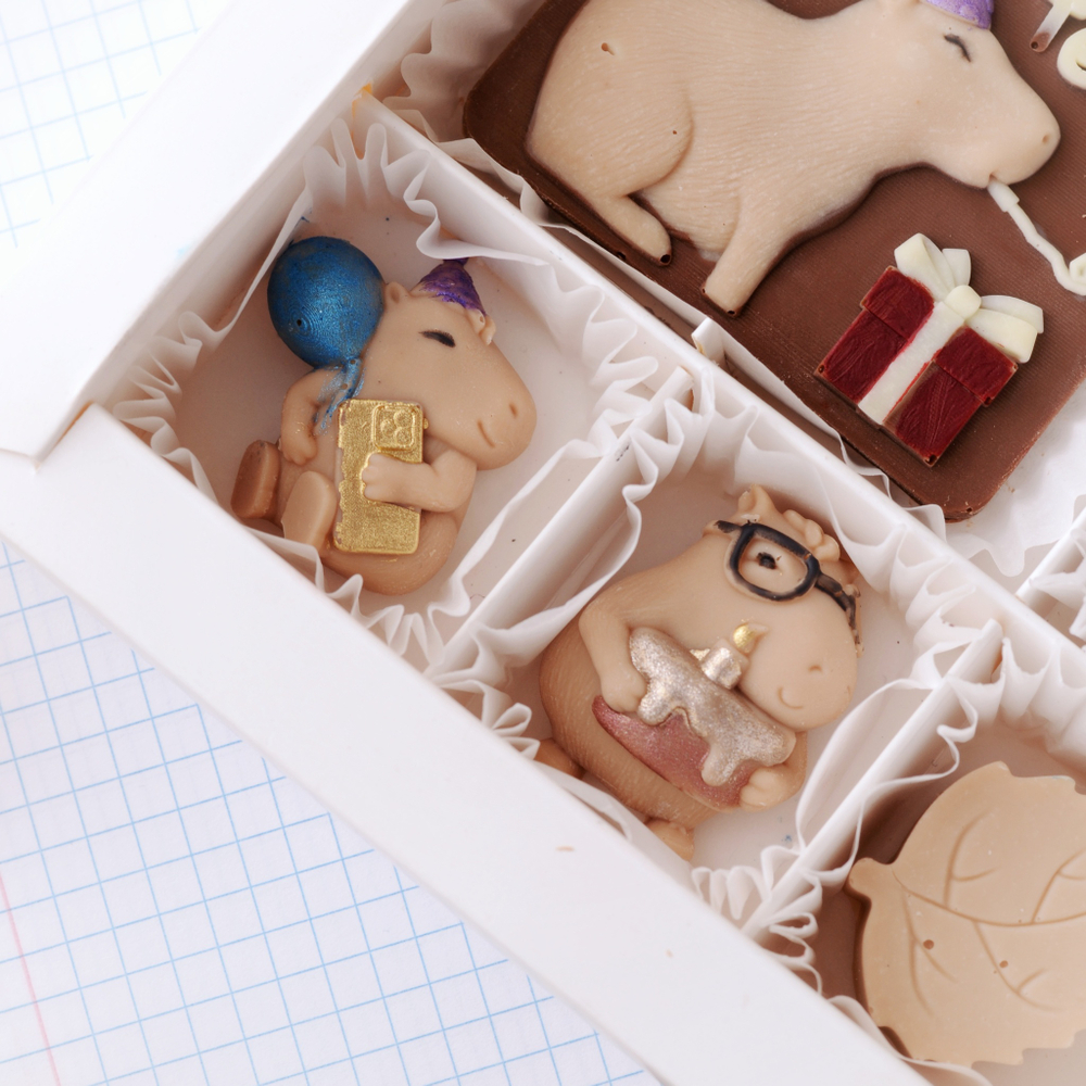 Набор "С днём рождения" с капибарами #3