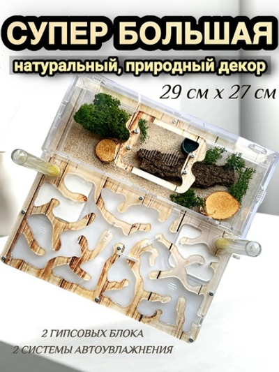 Супер большая ферма с муравьями в подарок «XXXL Древесная»