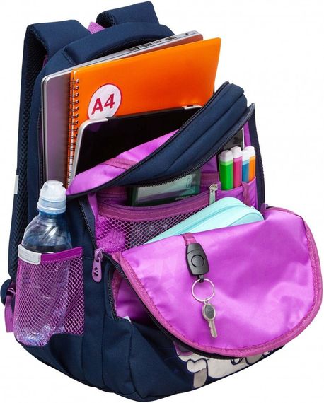 Çanta \ Bag \ RG-460-3 Рюкзак школьный (/1 синий)