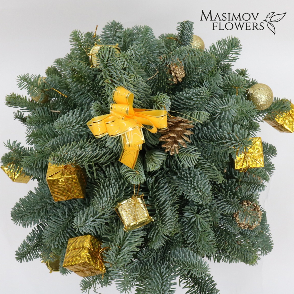 Ель "Дюймовочка в золоте"