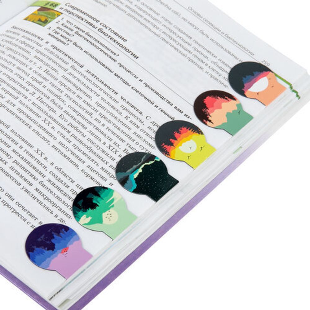 Закладки для книг МАГНИТНЫЕ, "SUNSET", набор 6 шт., 30х25 мм, BRAUBERG, 113169