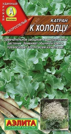 Катран (ХРЕН) семена