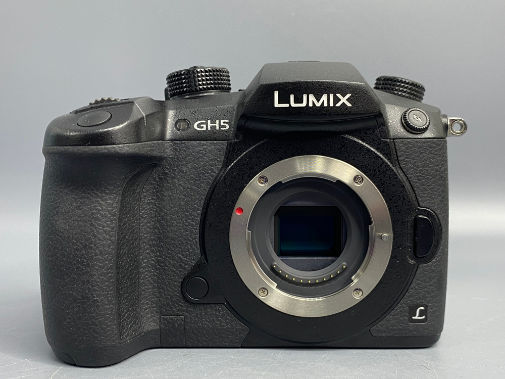 Panasonic Lumix GH5