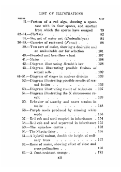 Fundamentals of Plant-Breeding | John Merle