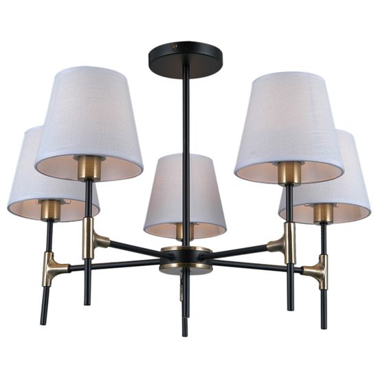 IL0185-5CSQ-24 BK AB CASTOR светильник потолочный