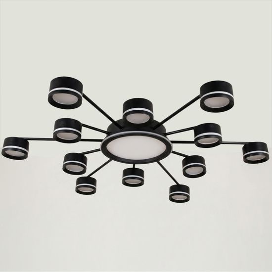 20590-0.3-6+6+1 Black светильник потолочный