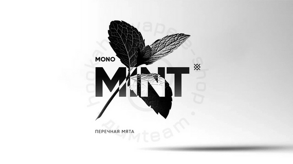 Табак для кальяна Душа Mint (Перечная мята) 25 г.