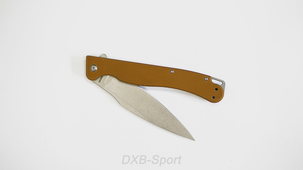 Daggerr Condor Coyote