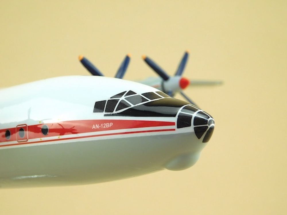 Модель самолета Ан-12 (М1:100, AeroNord-Group S.R.L)