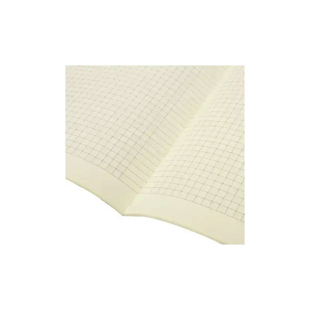 Тетрадь 40 л клетка BRAUBERG обложка SoftTouch, фольга, бежевая бум. 70 г/м2, Совы 403780
